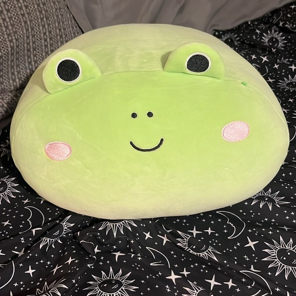 Large bundle squishmallow frogs. All missing tags except for one. - Picture 16 of 16